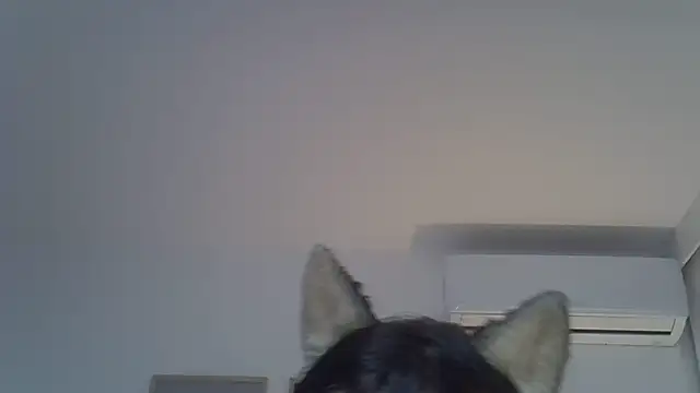 SkinnyKitten's Live XXX Chat