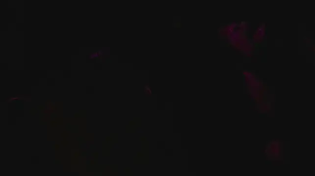 Show de slutforyou_ na webcam