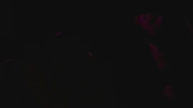 Show de webcam de slutforyou_