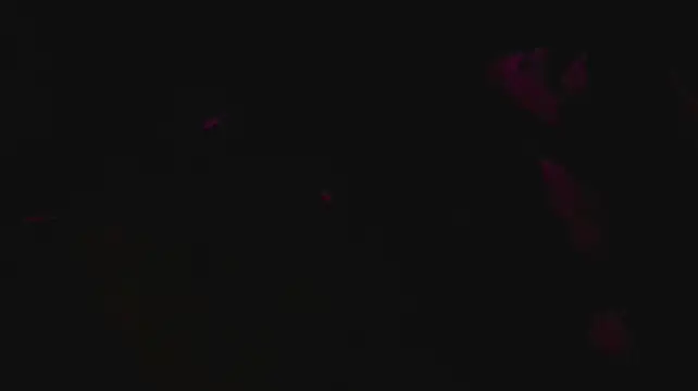 slutforyou_ Webcam-Show