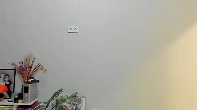 Онлайн чат XXX ailey_chao