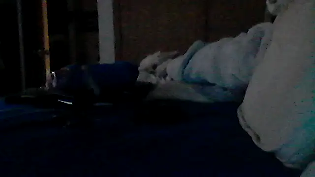Show webcam de Silencio26
