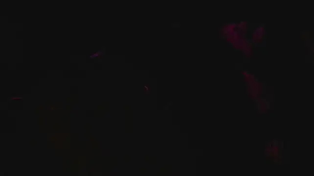 Show modela slutforyou_ na web-kameri