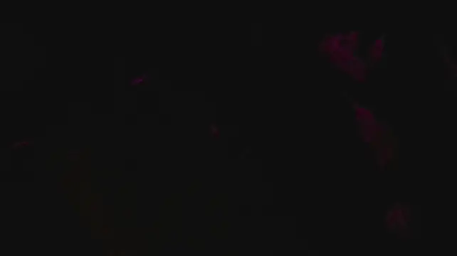 slutforyou_n Webbikameraesitys