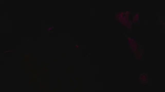 slutforyou_ – webcam-show