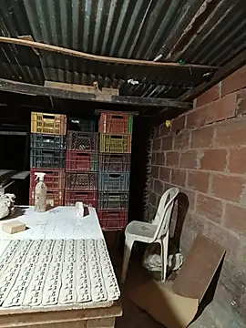 Chat XXX ao vivo de hoteder