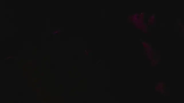 slutforyou_ webcam show