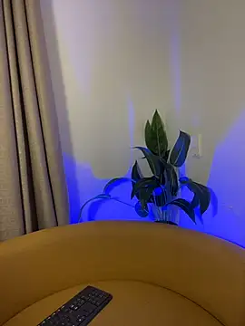sofiaacutee live XXX chat