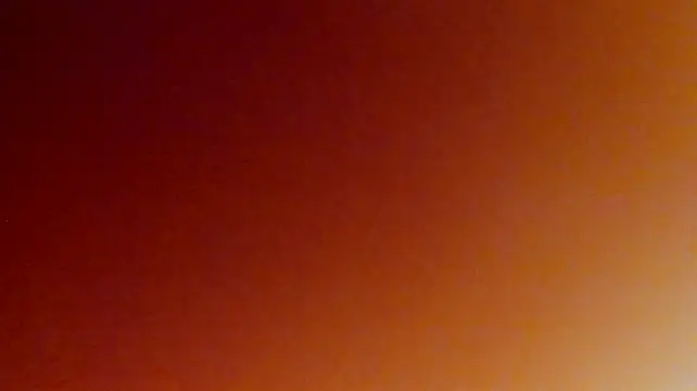 Bear_Beer130's Live XXX Chat
