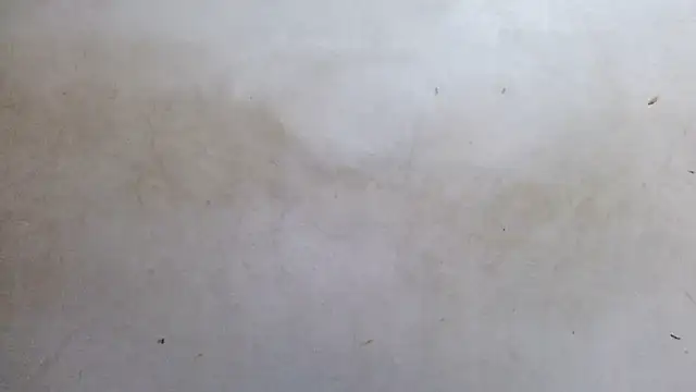 royblackbigpvt 라이브 XXX 채팅