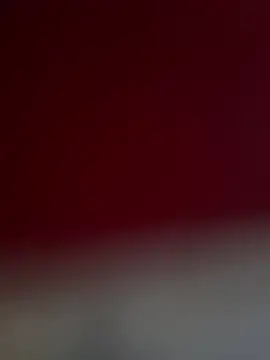 Hayron webkamerás műsora