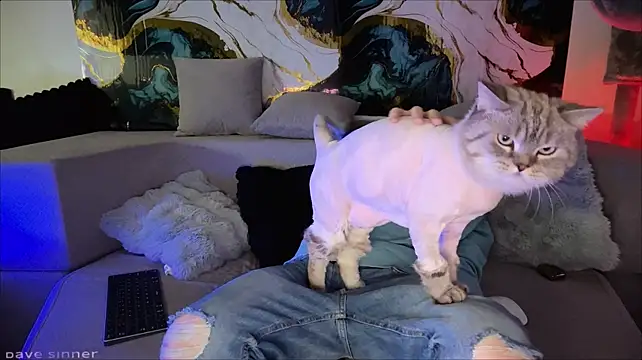 دردشة davesinner الجنسية المباشرة