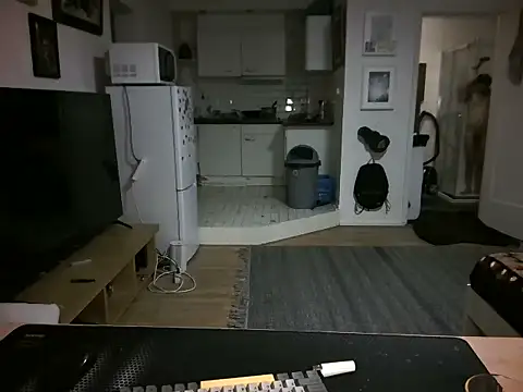 mihaimichael 现场XXX聊天