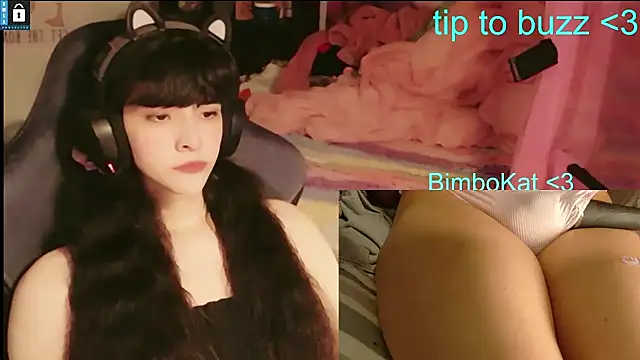 BimboCat – Kamerová šou
