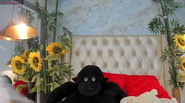 Chat +18 de LittleeJaz ao vivo