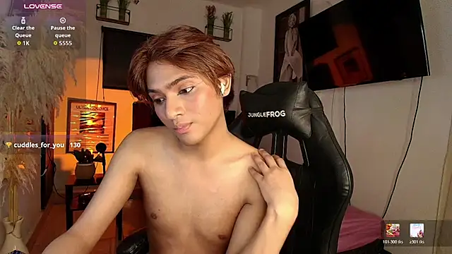 Show Webcam de imgerver