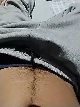 Show modela minitranca na web-kameri