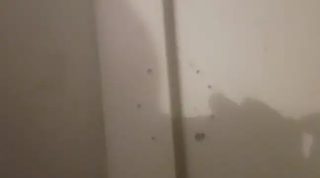 JusttoSayso: вебкам-шоу