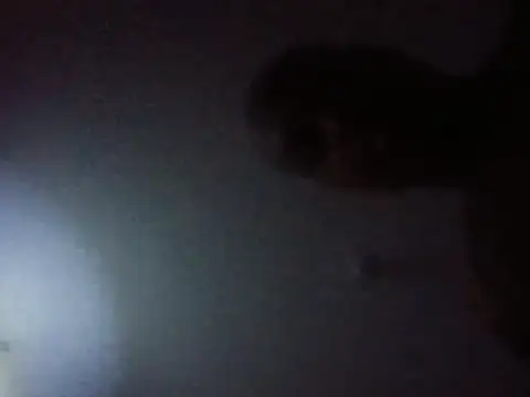 Show Webcam de JusttoSayso