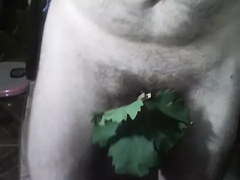 XXX chat uživo modela OreCam