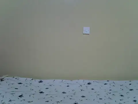 Eebony1 Live XXX-chat