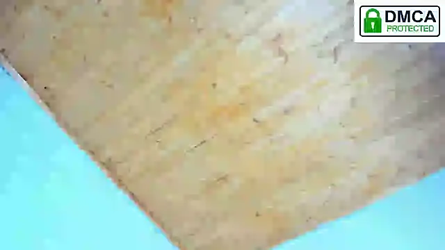 Assshlly – webcam-show