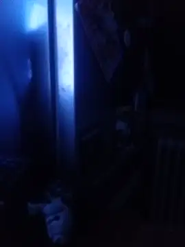 XXX chat uživo modela hwdpjp71