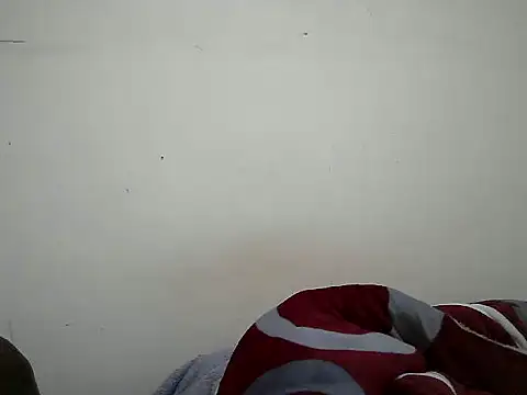 Milcy Live XXX-chat