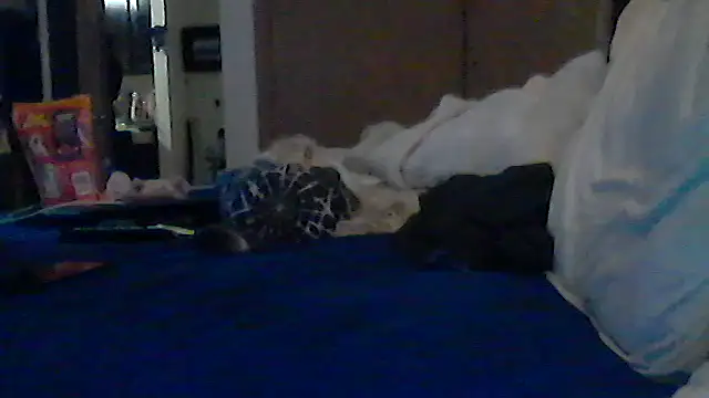 Silencio26's Webcam Show