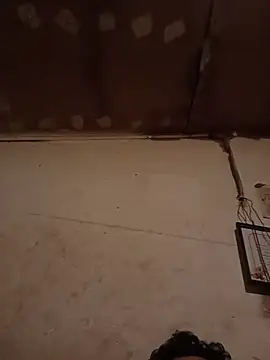 Todorico40n Webbikameraesitys