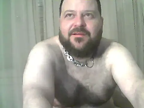 Chat +18 de Zerd0 ao vivo