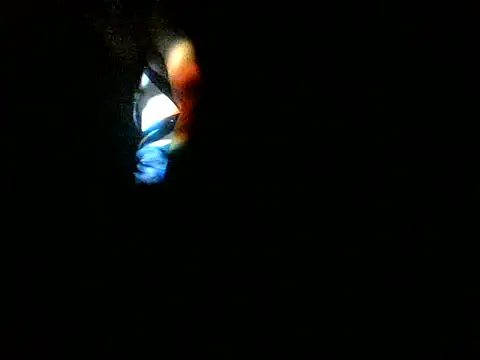Sumipirsitosn Live XXX chat