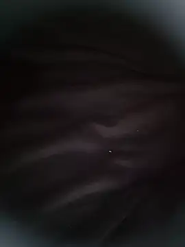Chubby_DIck4you ওয়েবক্যাম শো