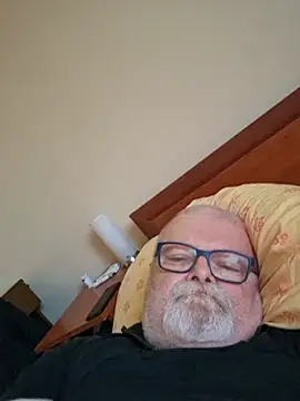 petvarad Live XXX-chat