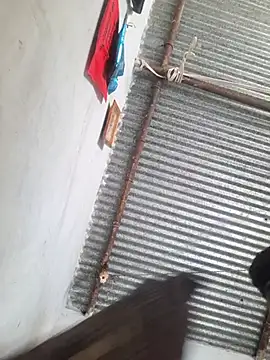 FluffingDub Live XXX-Chat