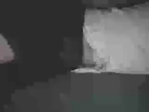 AFROSEXX: απευθείας συνομιλία ΧΧΧ