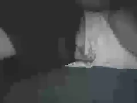 AFROSEXX – Naživo XXX chat
