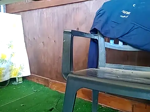 91019 – Naživo XXX chat