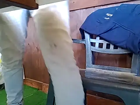 91019 – Naživo XXX chat