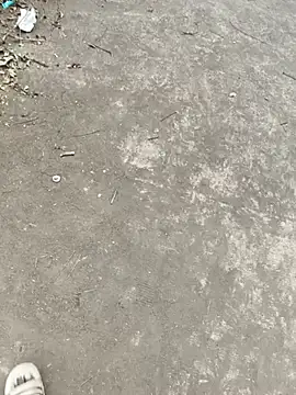 191makkun Webbikameraesitys
