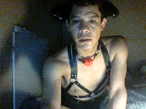 Show Webcam de Sumipirsitos