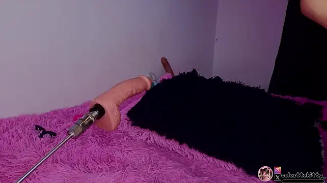 Živý XXX chat celestte_evans_1