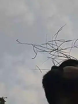 Онлайн чат XXX ThethunderPo