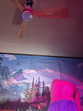 הופעת וובקאם של In2itvegassstyle