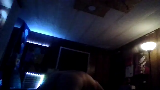 Vidi32 Webcam-Show
