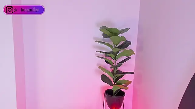 Živý XXX chat LunaFox11