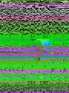 Chat XXX Live TexasHangdown