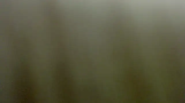Asher_athletsn Live XXX chat