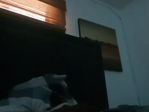 Blkstylion Show in webcam