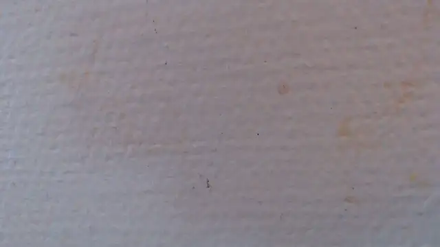 Živý XXX chat knodli